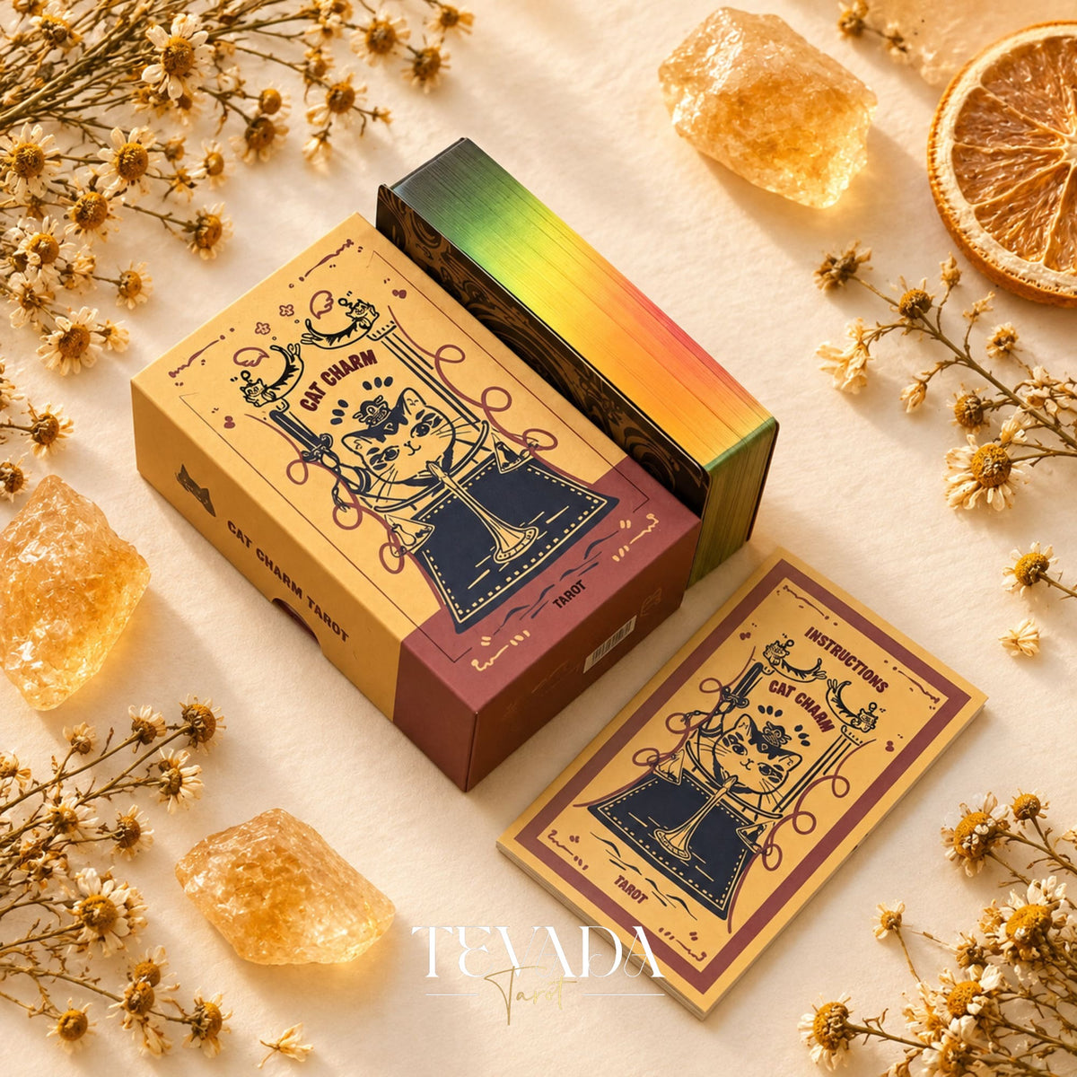 Close-up of Cat Charm Tarot cards featuring playful cats, bold black linework, and vintage orange artwork.