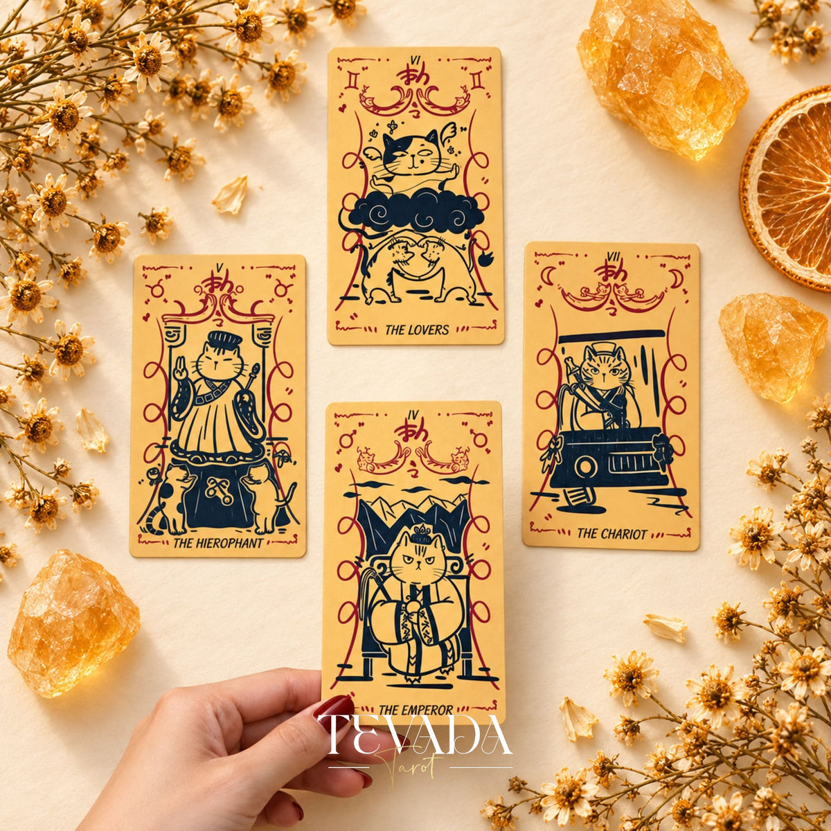 Cat Charm Tarot Deck product display with the rigid box, illustrated tarot cards, and English guidebook.