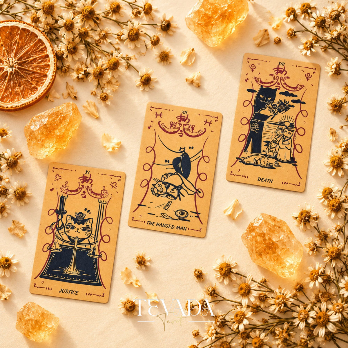 Cat Charm Tarot Deck box surrounded by illustrated cards with playful cats and bold black outlines.