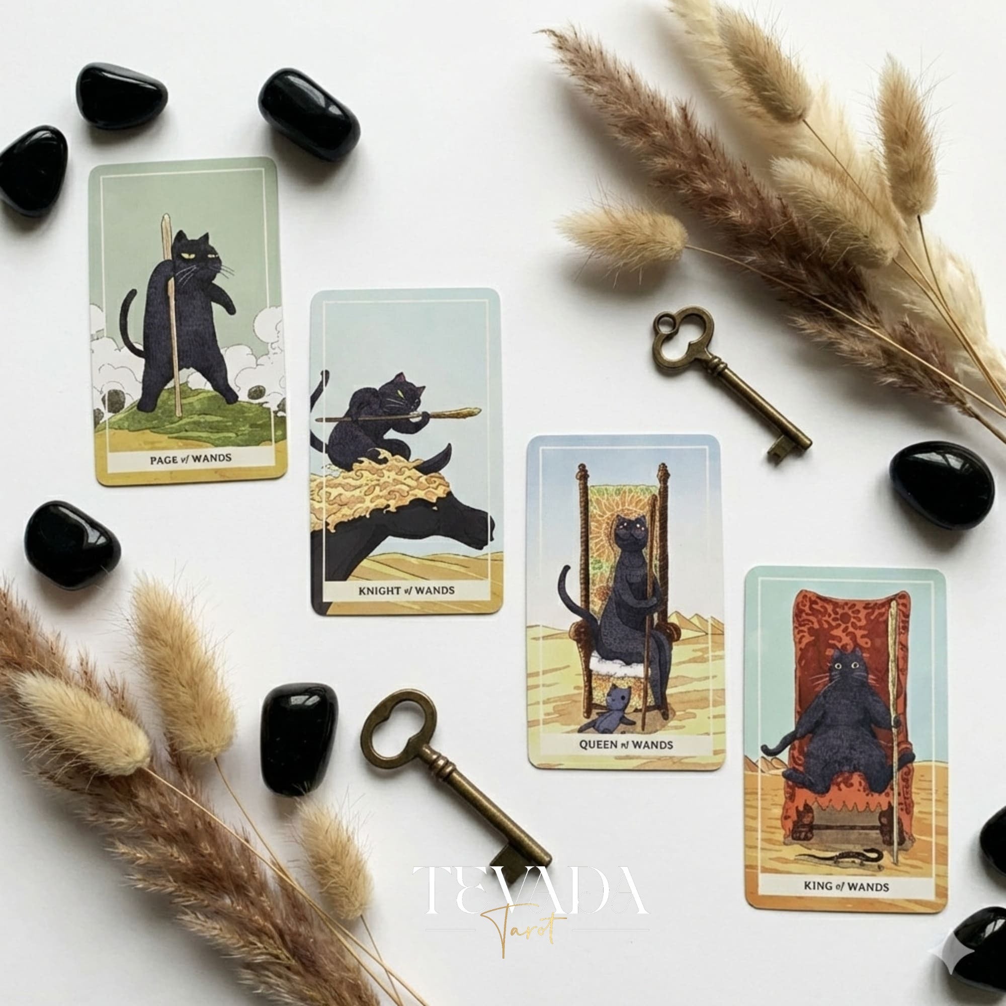 Coco Black Cat Tarot PRO Edition avec des illustrations ludiques de chats noirs pour une divination intuitive et des conseils quotidiens.
