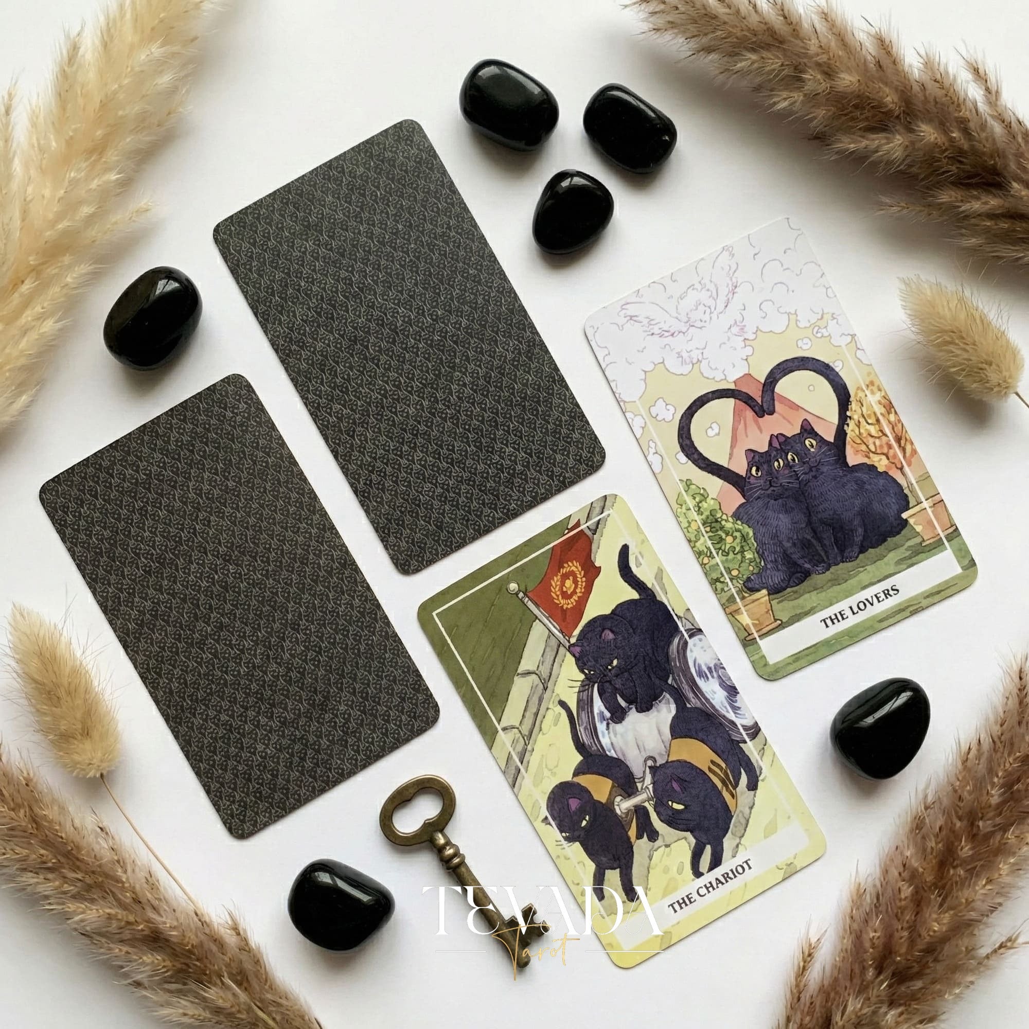 Coco Black Cat Tarot PRO Edition avec des illustrations ludiques de chats noirs pour une divination intuitive et des conseils quotidiens.
