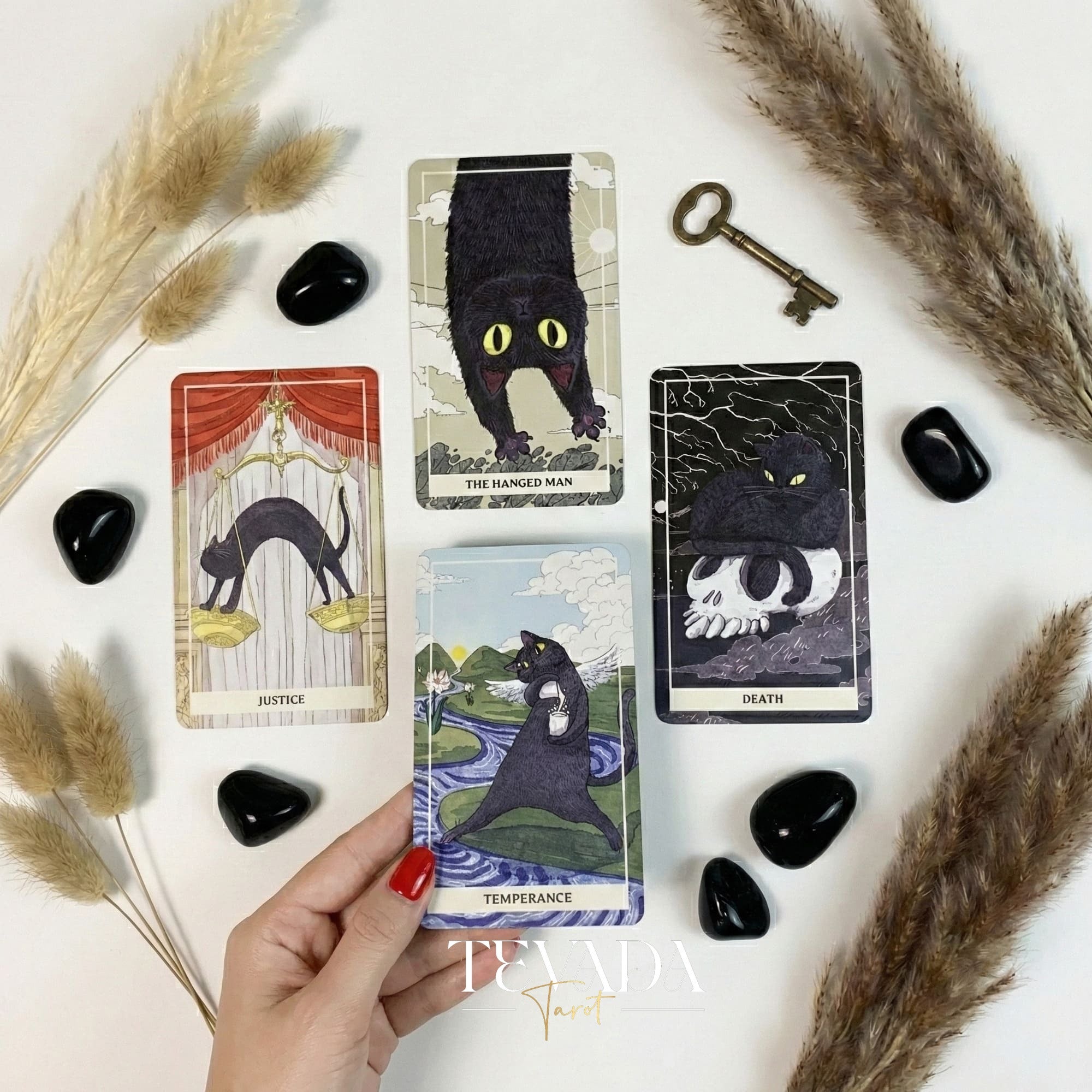 Coco Black Cat Tarot PRO Edition avec des illustrations ludiques de chats noirs pour une divination intuitive et des conseils quotidiens.