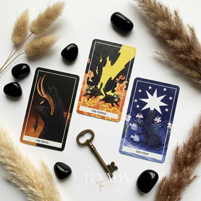 Coco Black Cat Tarot PRO Edition featuring playful black cat illustrations for intuitive divination and daily guidance.