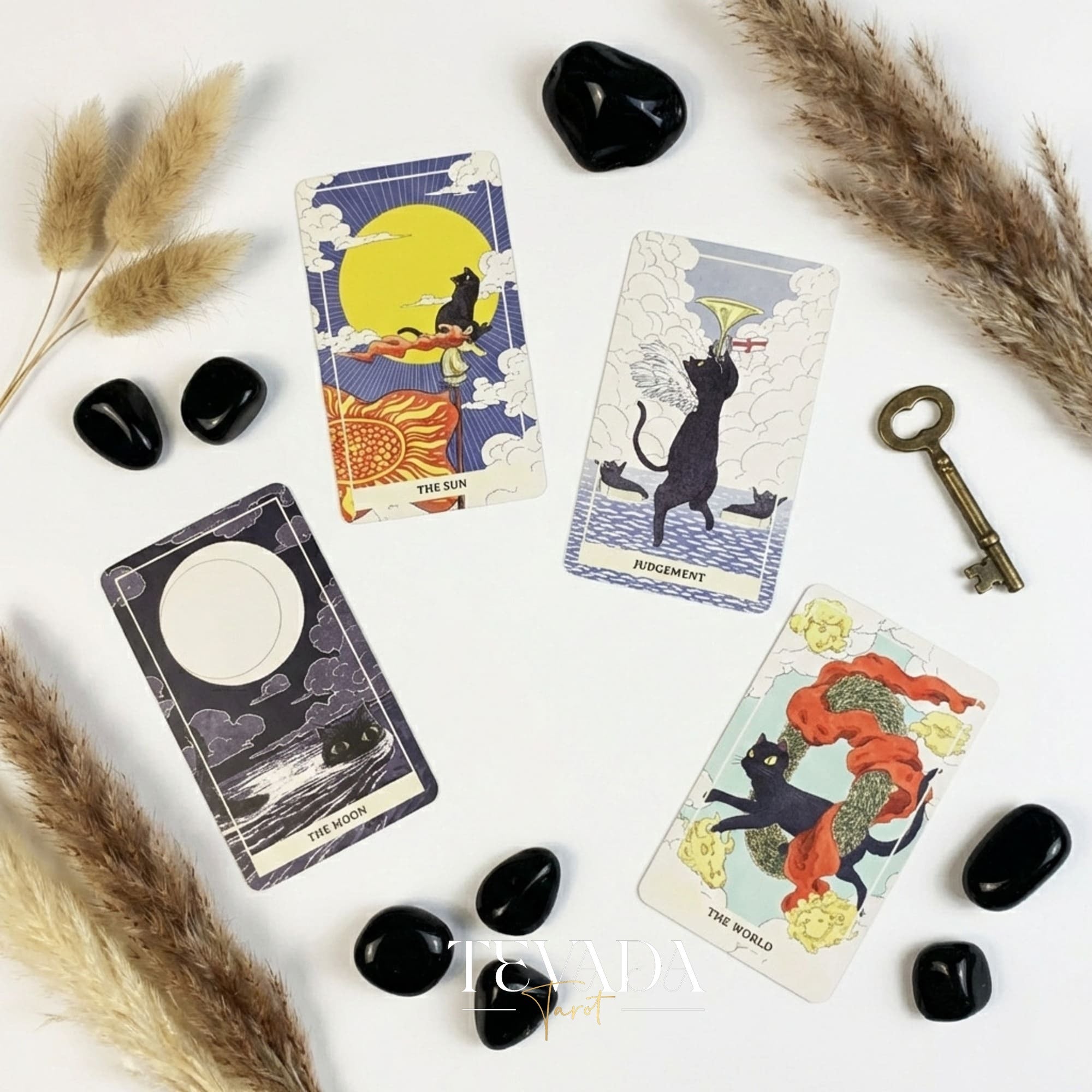 Coco Black Cat Tarot PRO Edition avec des illustrations ludiques de chats noirs pour une divination intuitive et des conseils quotidiens.