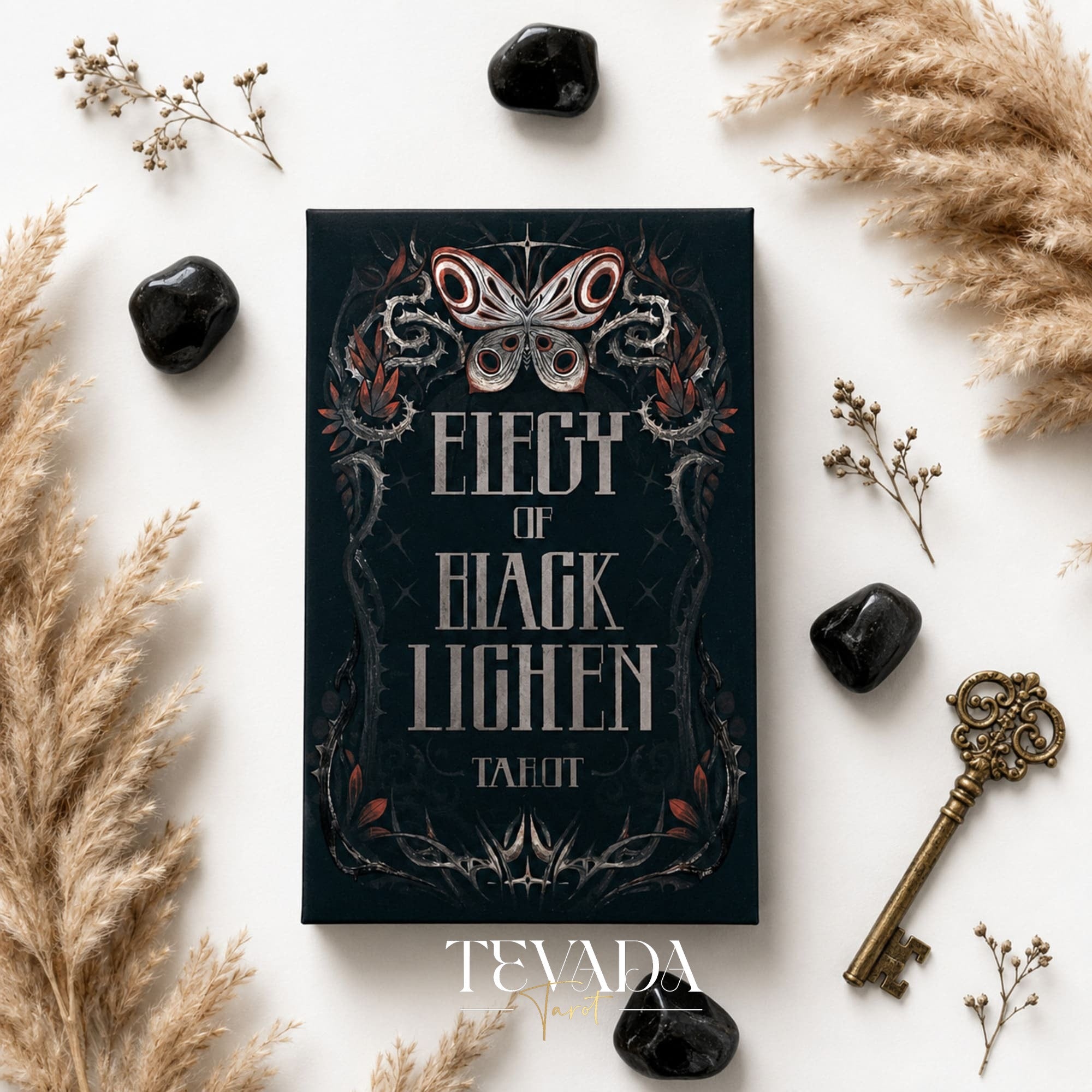 Elegy of Black Lichen Tarot Standard Edition dark fantasy Indie Tarot Deck for shadow work