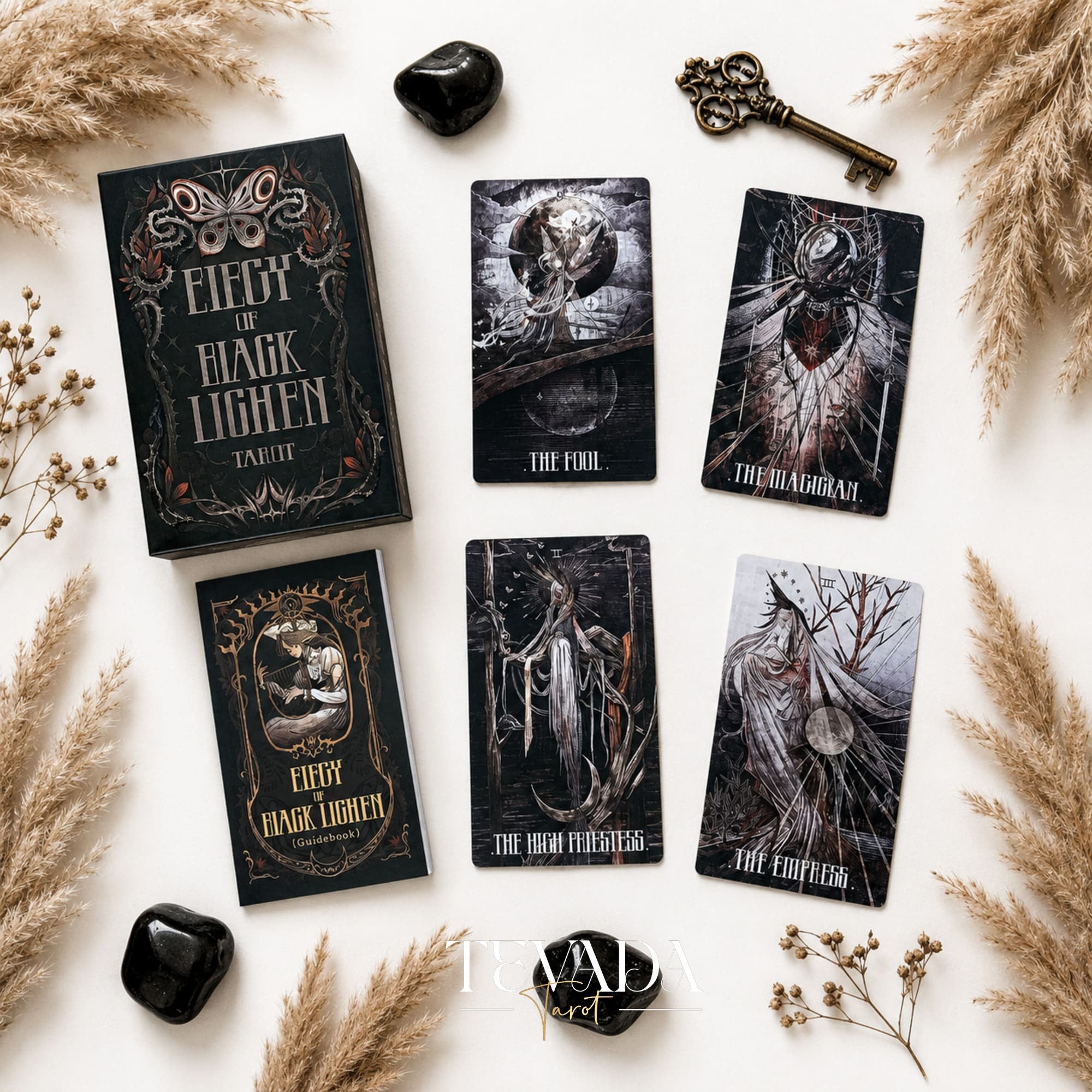 Elegy of Black Lichen Tarot Standard Edition dark fantasy Indie Tarot Deck for shadow work