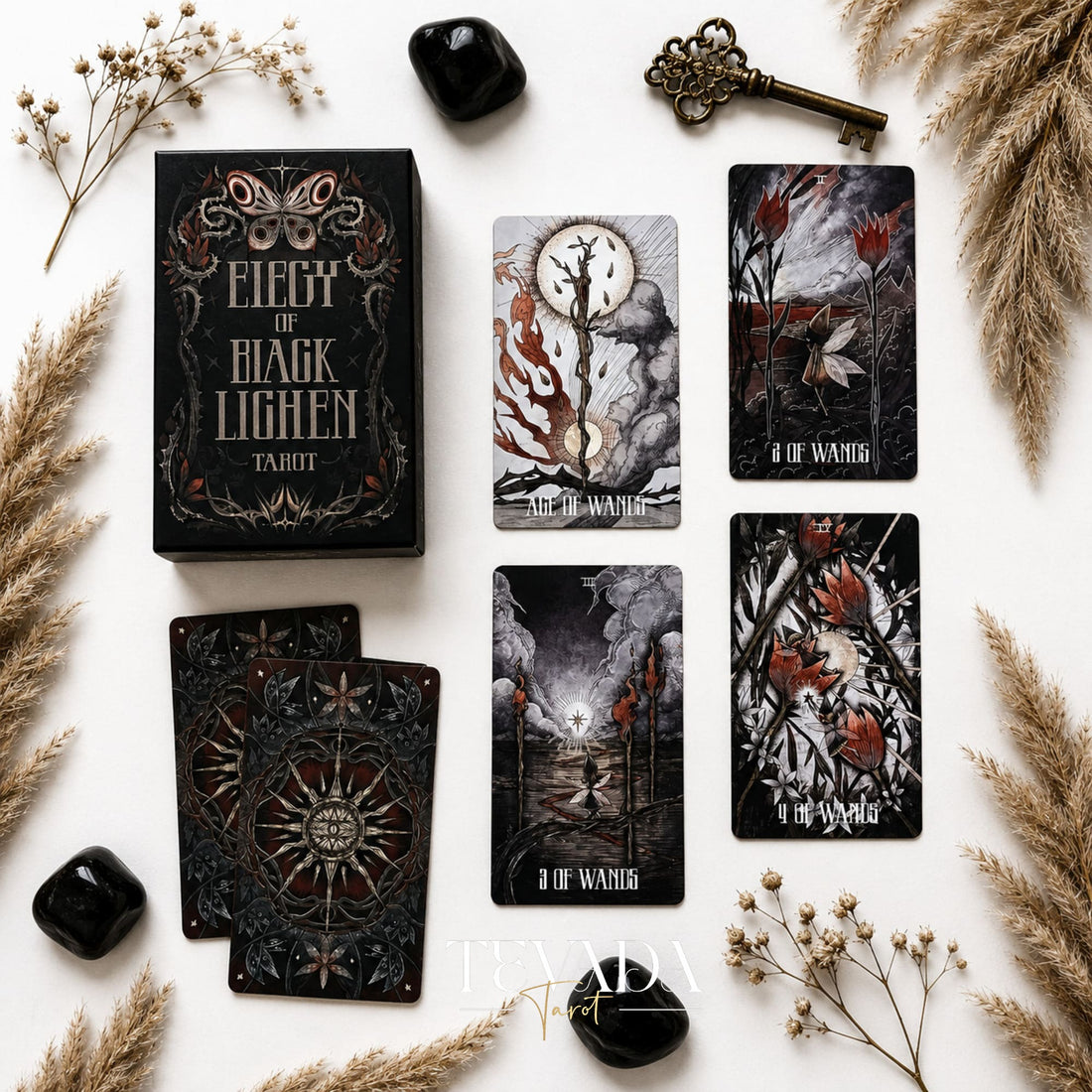 Elegy of Black Lichen Tarot Standard Edition dark fantasy Indie Tarot Deck for shadow work