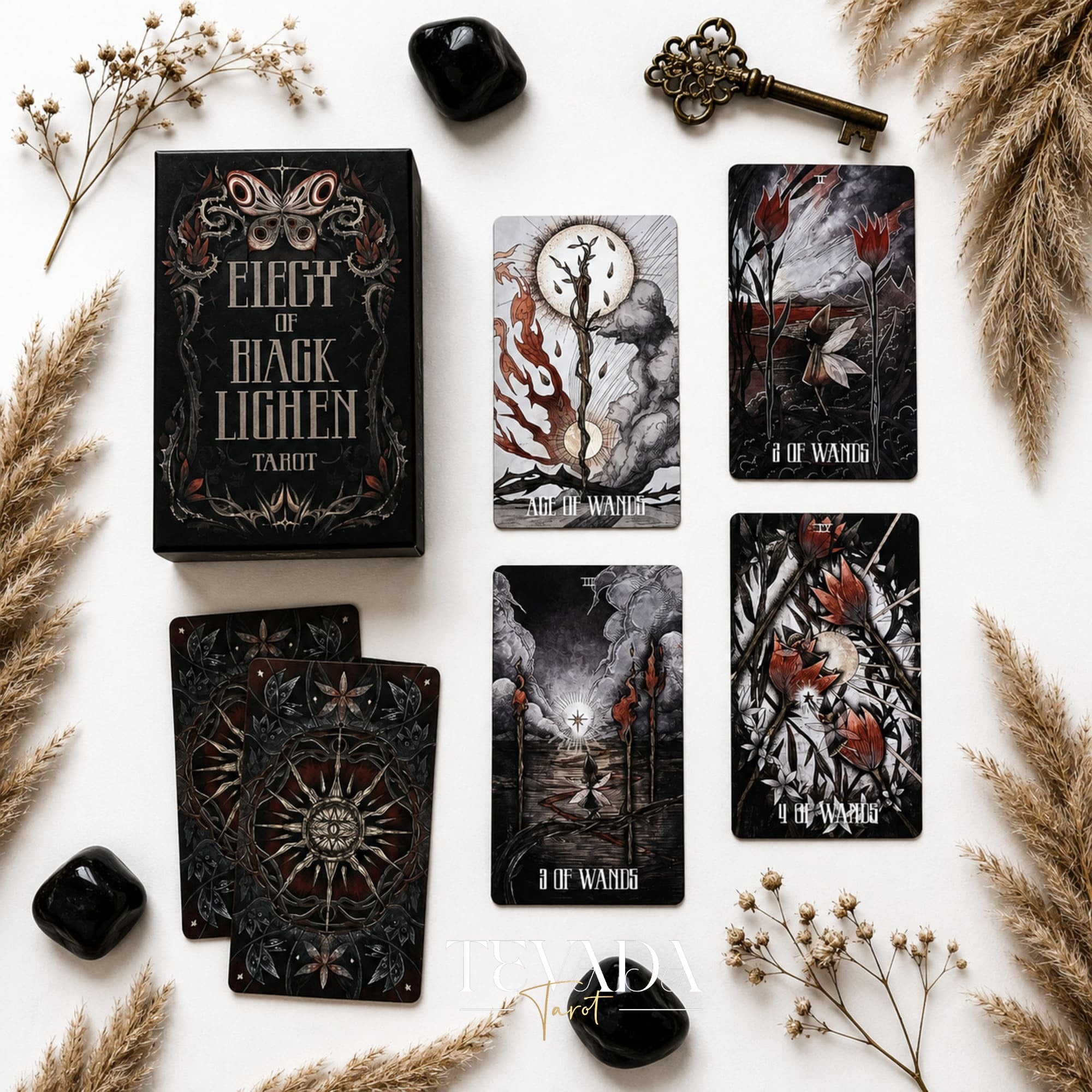 Elegy of Black Lichen Tarot Standard Edition dark fantasy Indie Tarot Deck for shadow work
