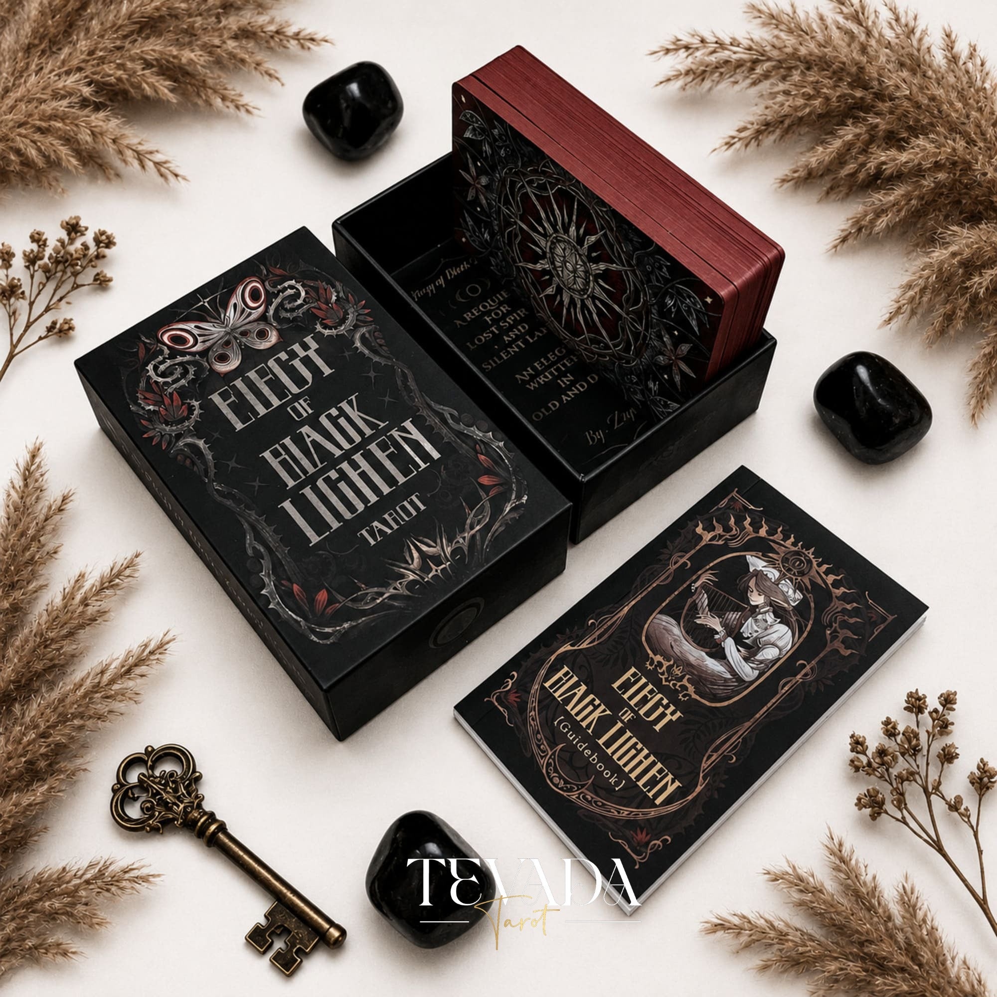 Elegy of Black Lichen Tarot Standard Edition dark fantasy Indie Tarot Deck for shadow work