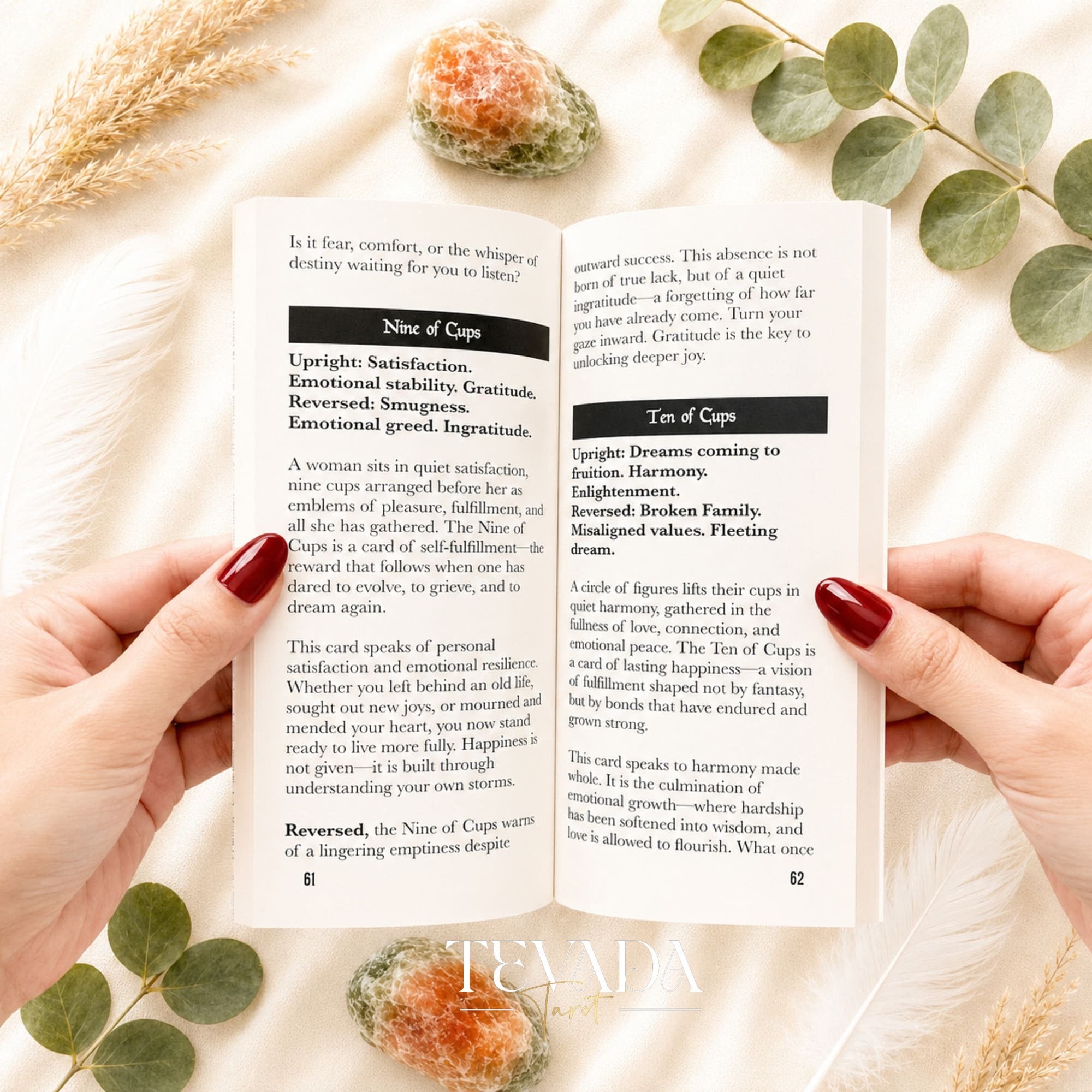 Elysian Shadows ビクトリア朝のアールヌーボー様式の金箔タロットデッキ、記念品ボックスに入っており、シャドウワークや直感的なリーディングに最適です。