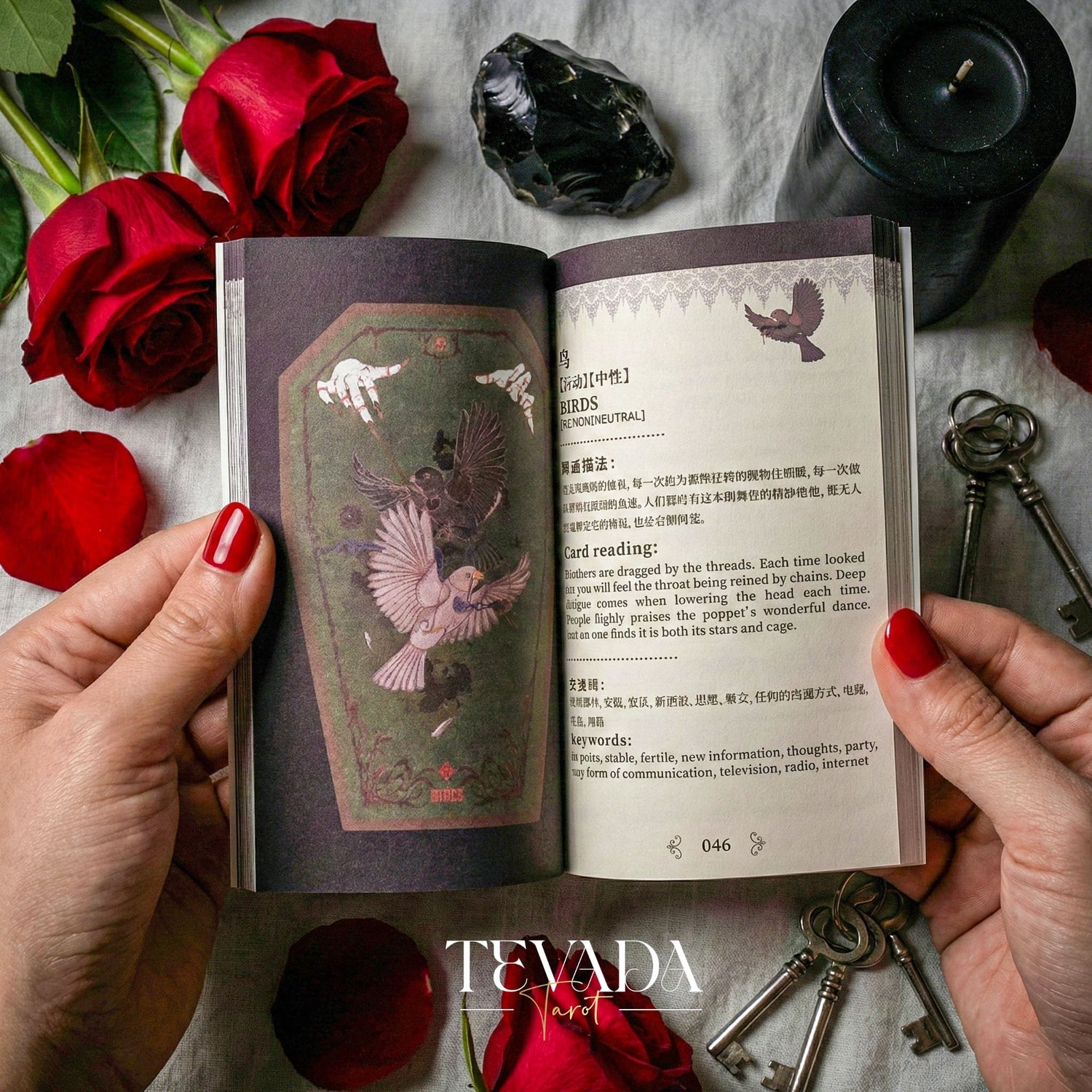 【Available in Feb】Fate Strings Lenormand Deck