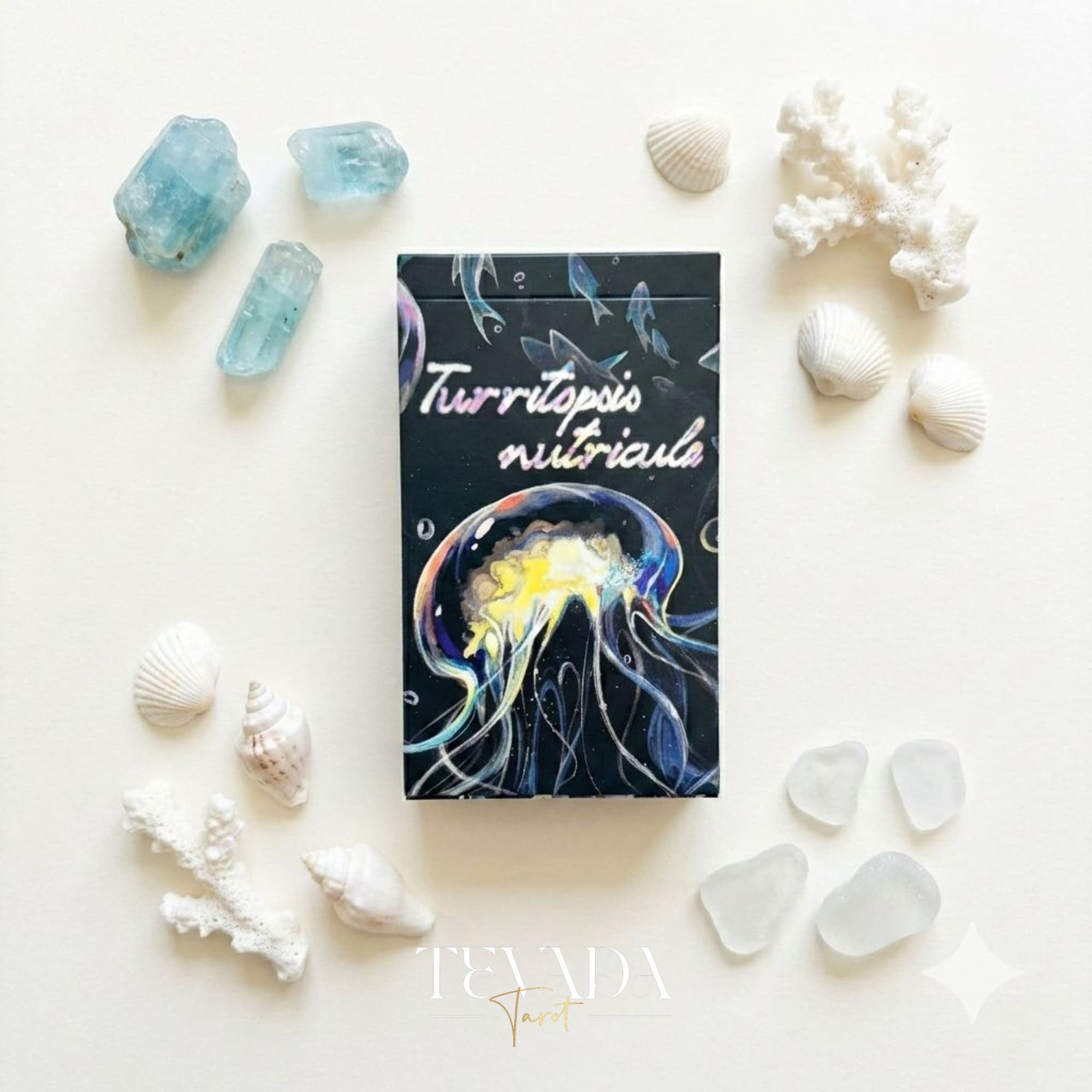 Turritopsis Nutricula Tarot whimsical cartoon style Indie Tarot Cards for inner child healing and self reflection.