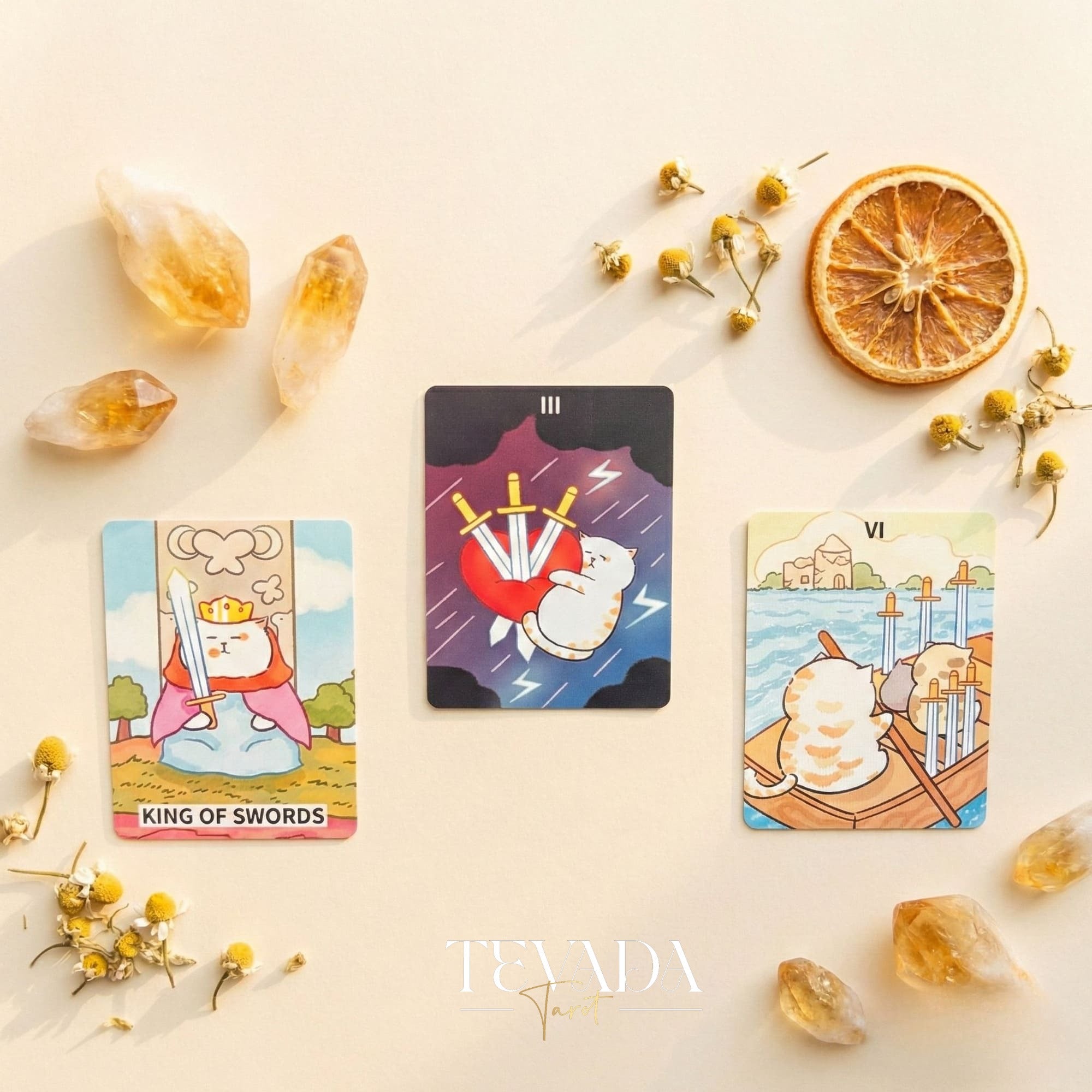 Jiuyujiang Chubby Cat Tarot Deck featuring funny cartoon kittens and pocket size cards for lighthearted divination.