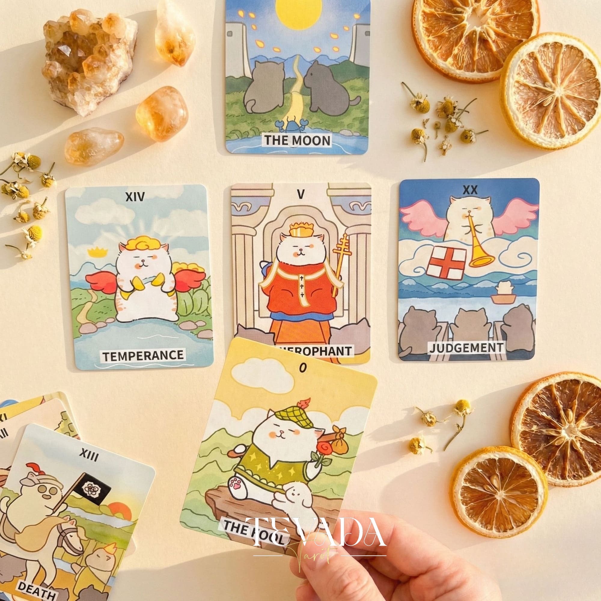 Jiuyujiang Chubby Cat Tarot Deck featuring funny cartoon kittens and pocket size cards for lighthearted divination.