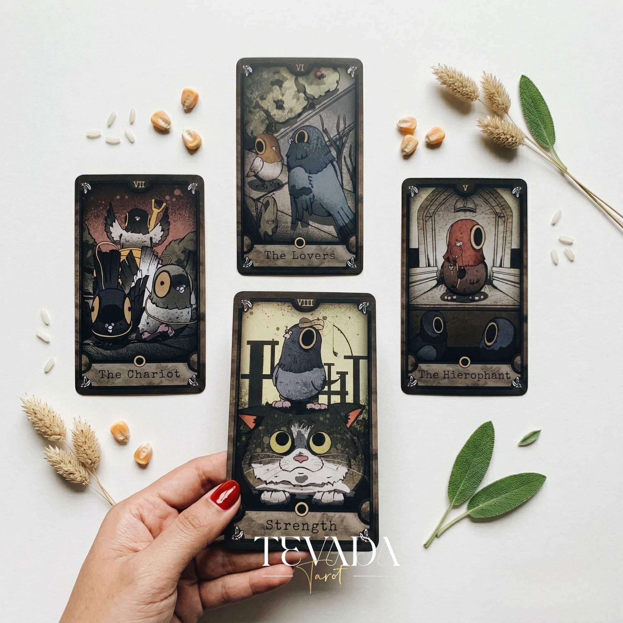 Little Pigeon Tarot whimsical animal Indie Tarot Deck for shadow work and quiet self-reflection.