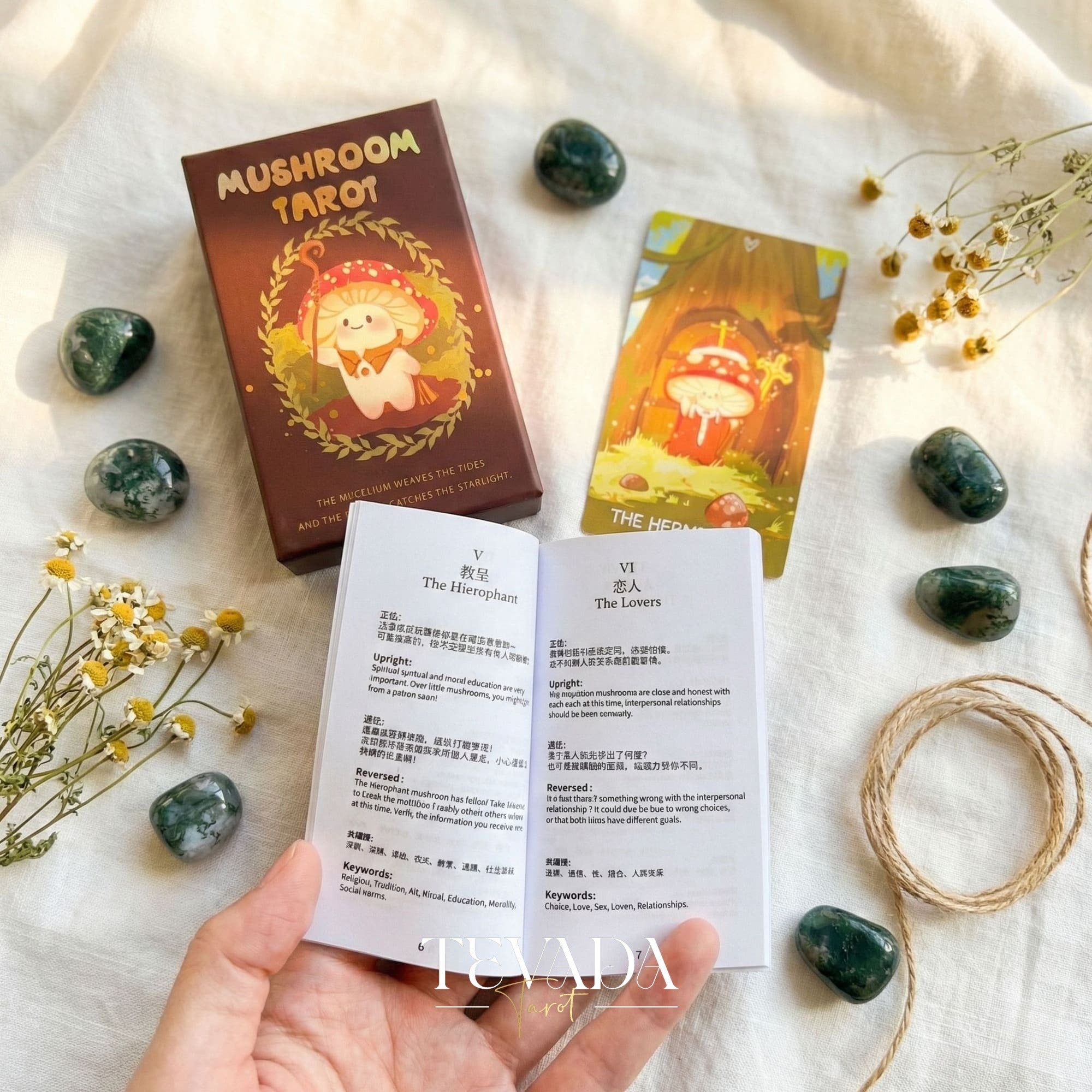 マッシュルームタロット DELUXE Edition |テバダタロット – TEVADA Tarot