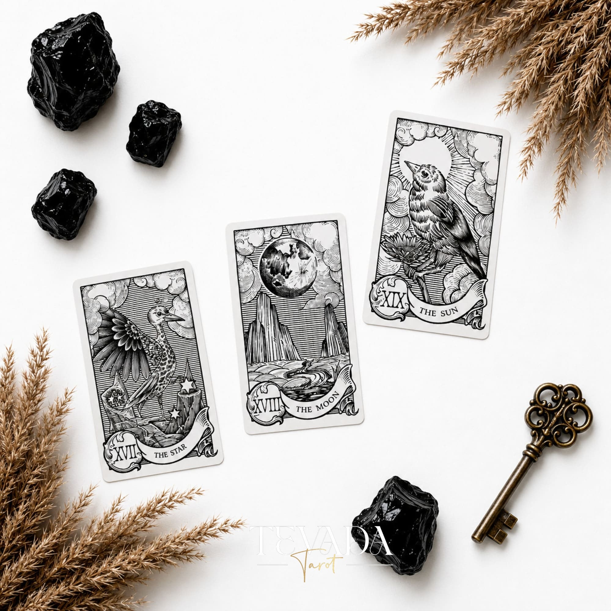 Quill and Ink Tarot vintage bird illustration deck for gentle Rider Waite-inspired readings.