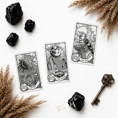Quill and Ink Tarot vintage bird illustration deck for gentle Rider Waite-inspired readings.