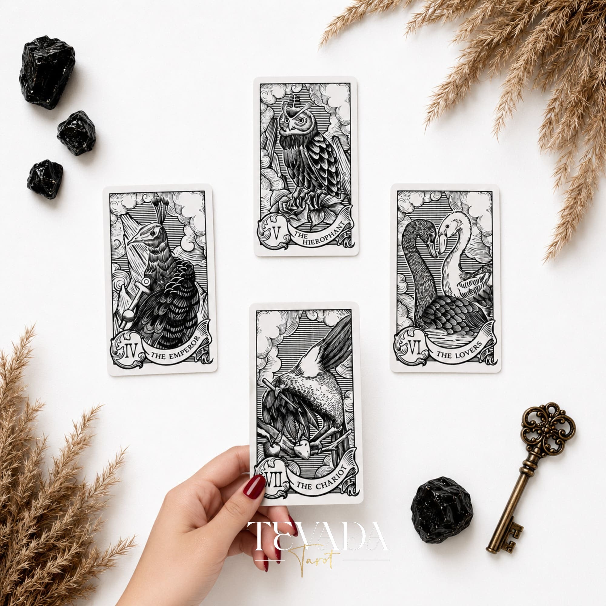 Quill and Ink Tarot vintage bird illustration deck for gentle Rider Waite-inspired readings.