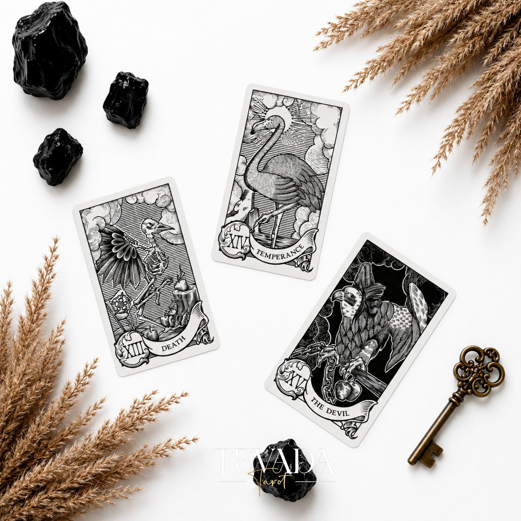 Quill and Ink Tarot vintage bird illustration deck for gentle Rider Waite-inspired readings.