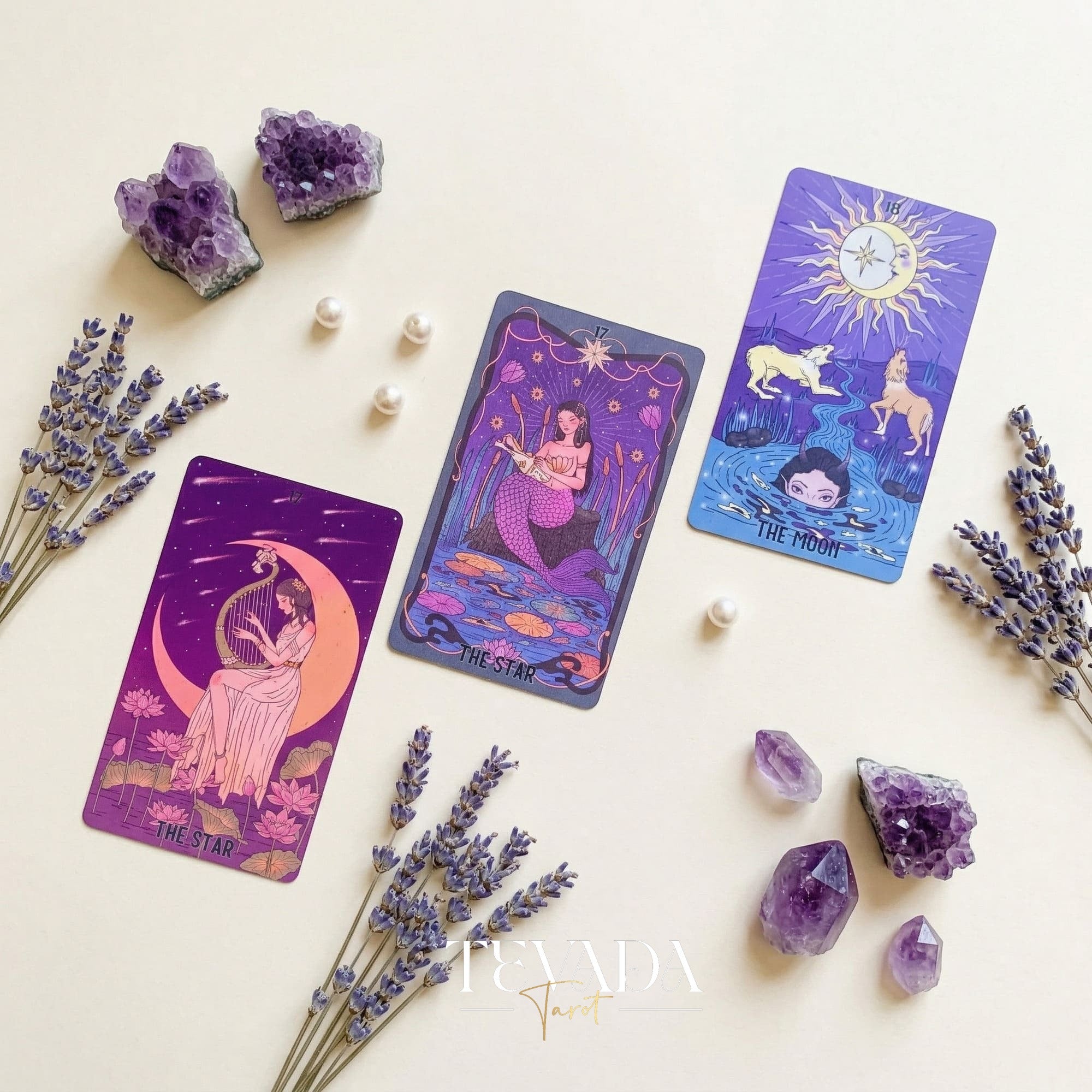 Shes Wilderness Tarot Deck シャドーワークや毎日の内省の儀式に最適な、風変わりなレトロなインディーズ タロット カード。