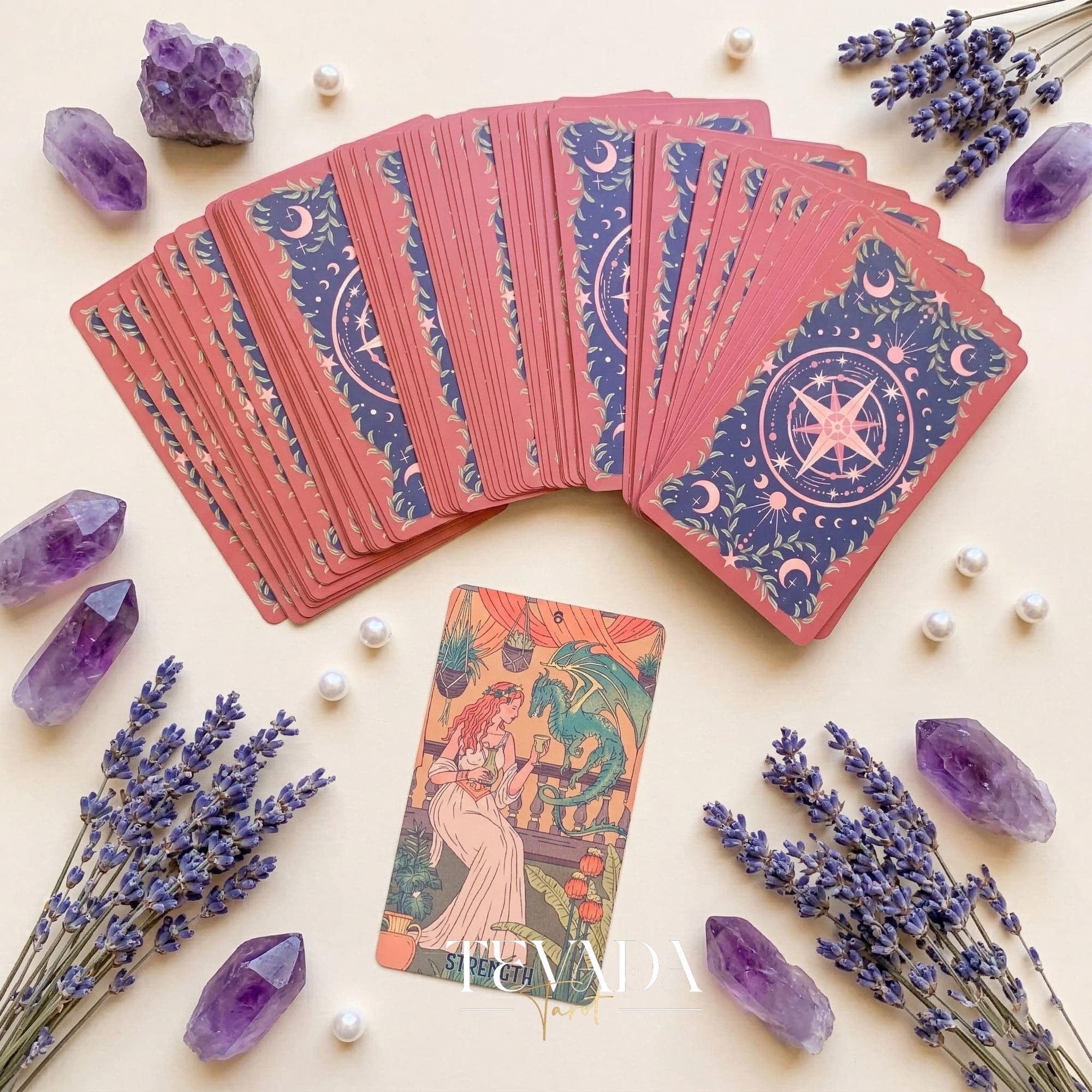 Shes Wilderness Tarot Deck シャドーワークや毎日の内省の儀式に最適な、風変わりなレトロなインディーズ タロット カード。