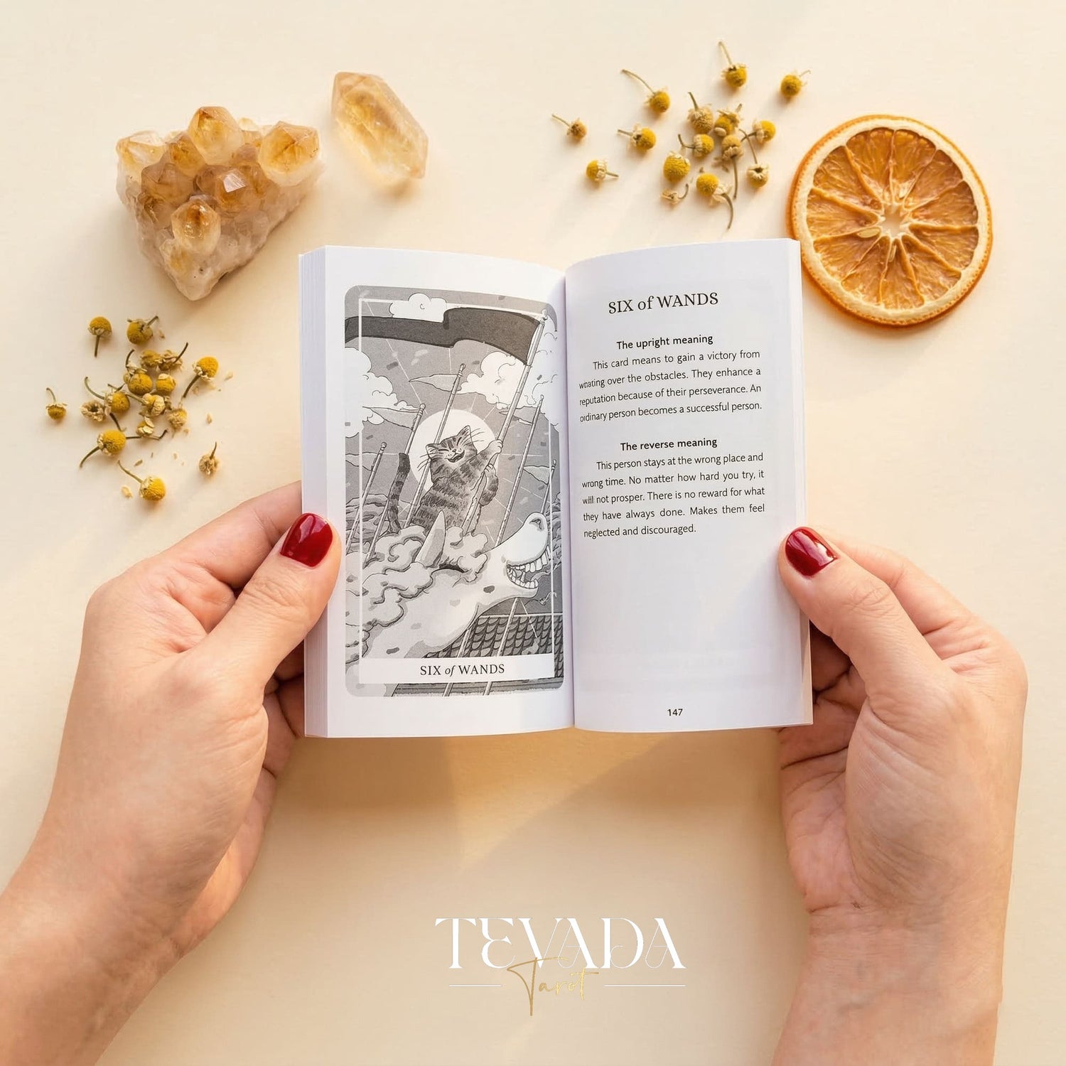 Sunny Orange Cat Tarot PRO Edition whimsical cartoon Indie Tarot Deck for inner child healing and gentle self reflection.