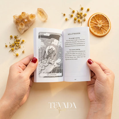 Sunny Orange Cat Tarot PRO Edition whimsical cartoon Indie Tarot Deck for inner child healing and gentle self reflection.