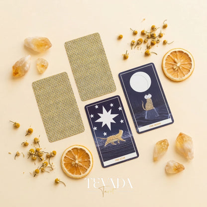 Sunny Orange Cat Tarot PRO Edition whimsical cartoon Indie Tarot Deck for inner child healing and gentle self reflection.