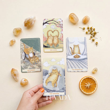 Sunny Orange Cat Tarot PRO Edition whimsical cartoon Indie Tarot Deck for inner child healing and gentle self reflection.