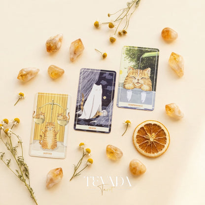 Sunny Orange Cat Tarot PRO Edition whimsical cartoon Indie Tarot Deck for inner child healing and gentle self reflection.