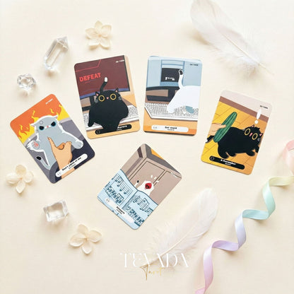 The 1000 Cats Oracle Decks featuring funny cartoon art and pocket size cards for lighthearted divination