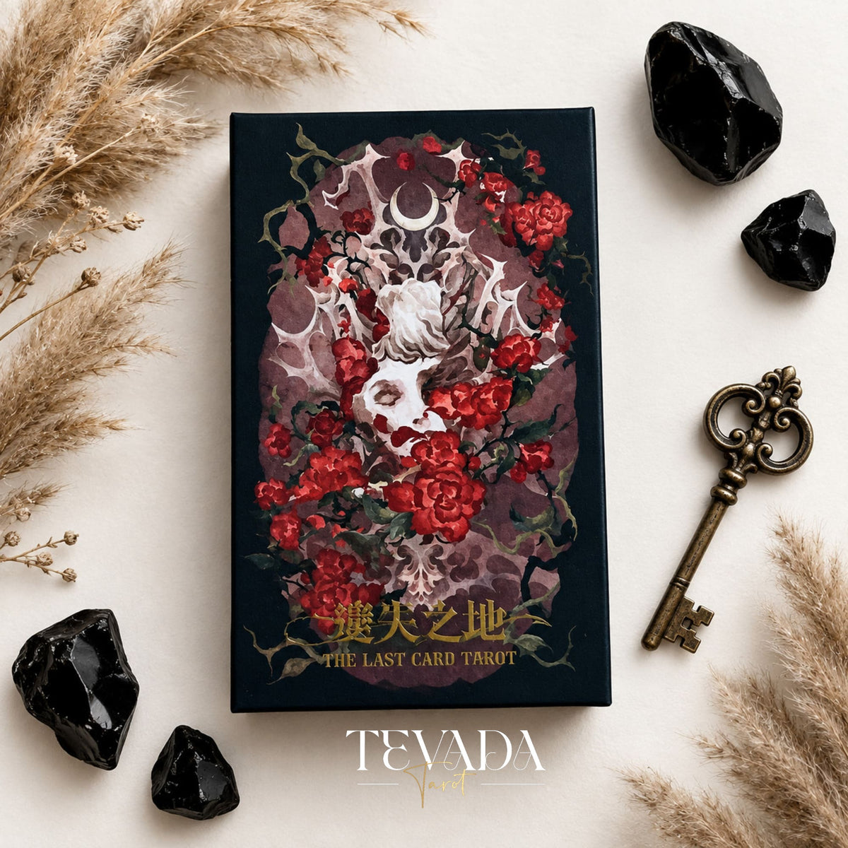 The Lost Land Tarot guidebook open to The Fool and The Magician pages
