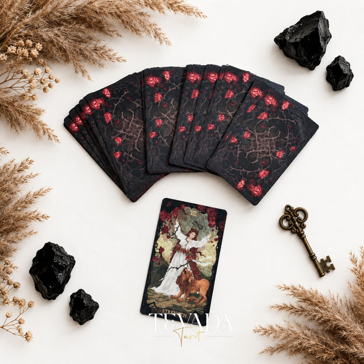 The Lost Land Tarot Fading Edition fan of dark card backs with one face-up fantasy tarot card