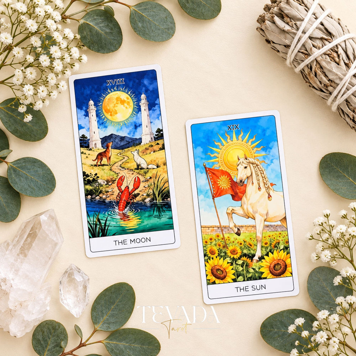 The Moon card with a moonlit landscape and animals beside The Sun card showing a white horse in a sunflower field.