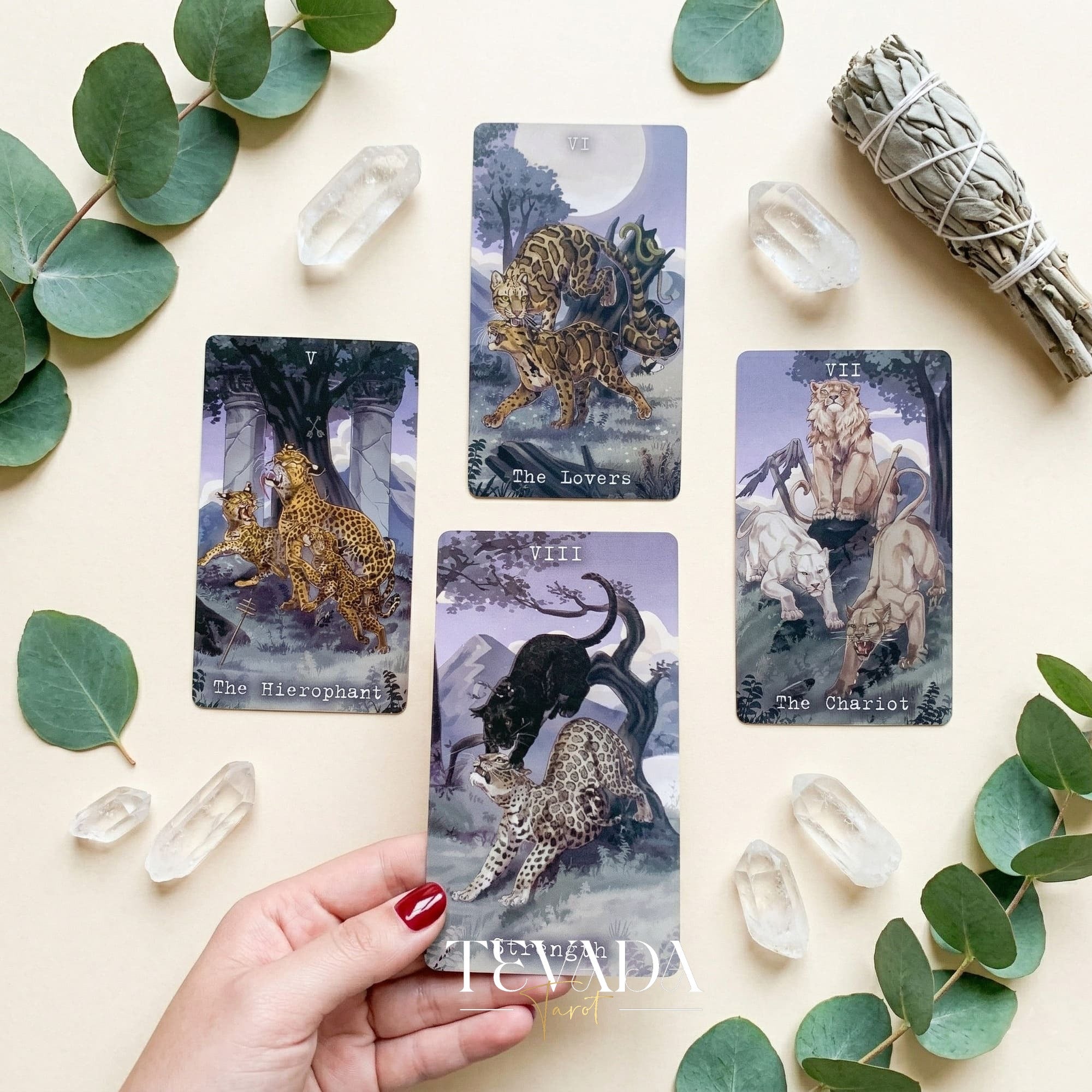 The Returning of Panthera Tarot 2026 Ver whimsical feline Indie Tarot Deck for daily ritual and deep self-reflection.