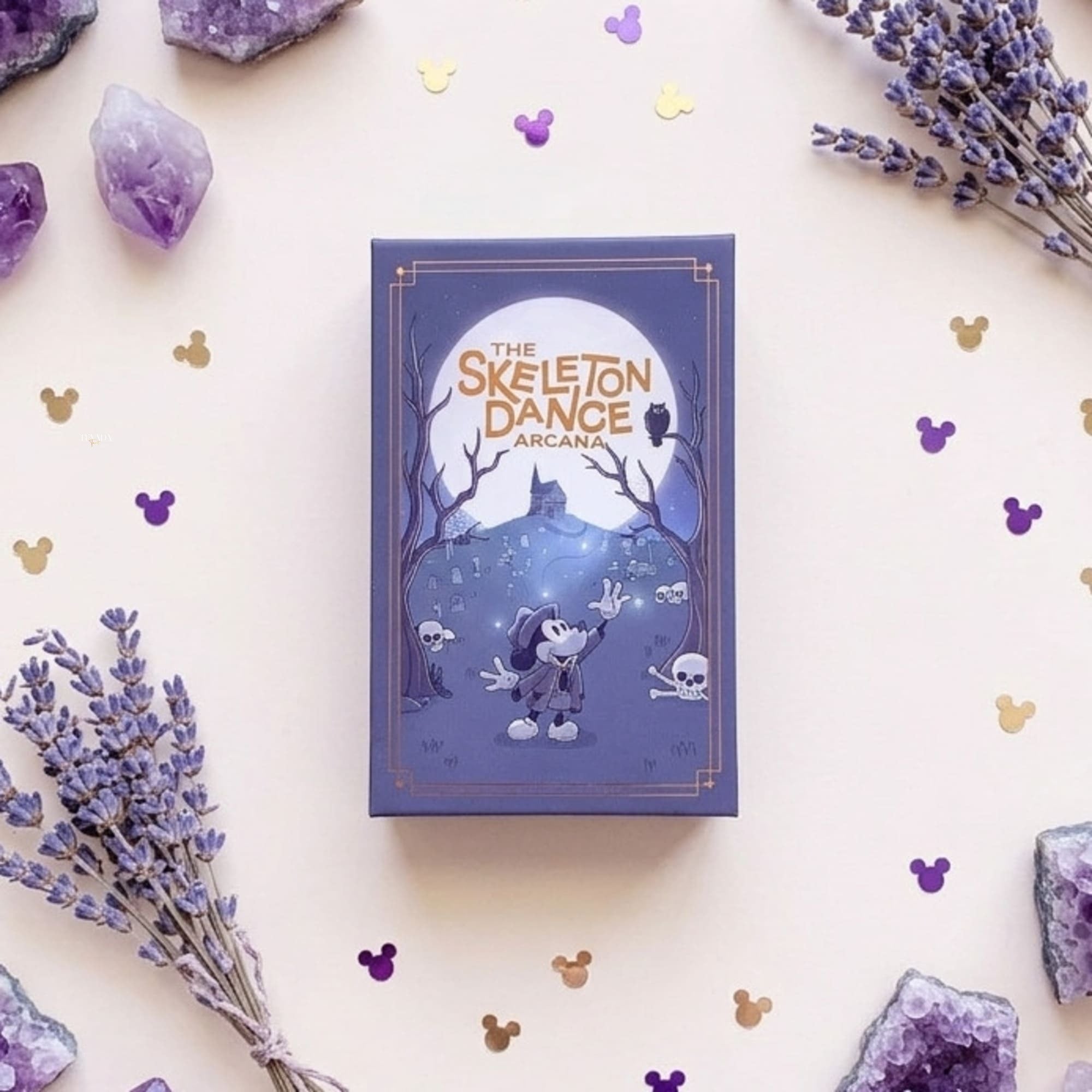 The Skeleton Dance Arcana Tarot whimsical gothic cartoon indie tarot deck for inner child healing and playful shadow work.