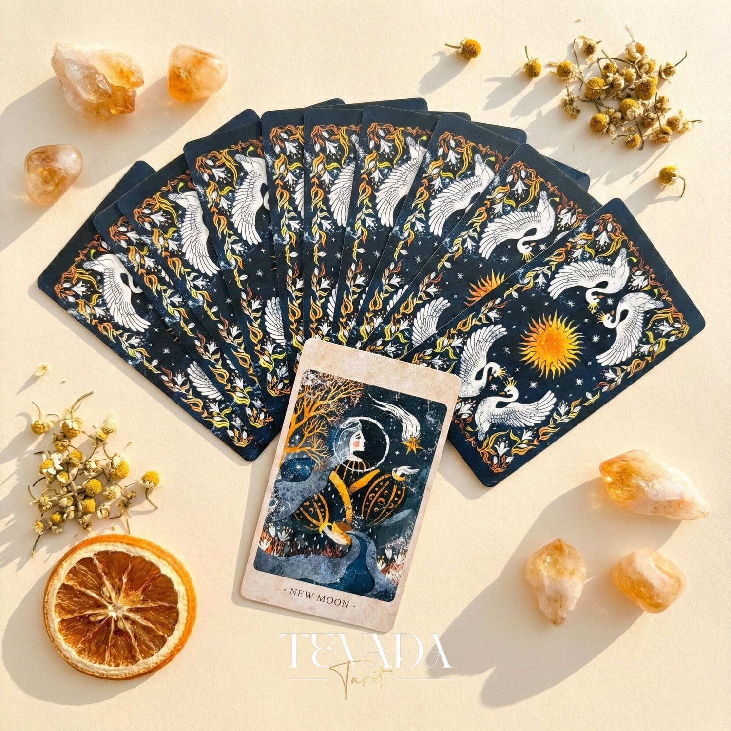 The Solar Kingdom Tarot featuring medieval woodcut art style and sun motifs for intuitive divination