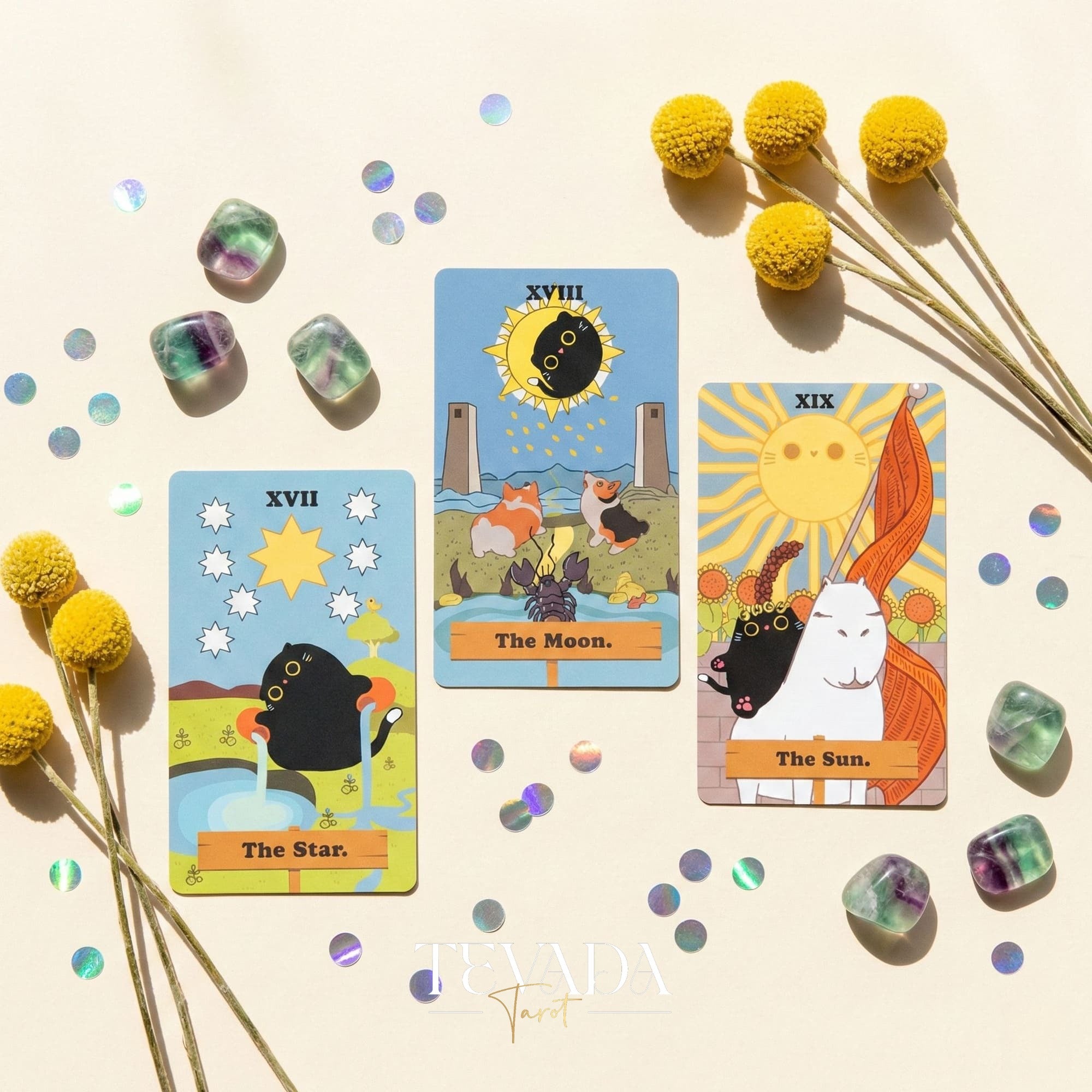 陰宇宙黒猫タロット |テバダタロット – TEVADA Tarot