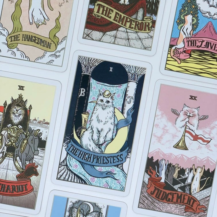 Stray Cat Tarot ｜TEVADA Tarot