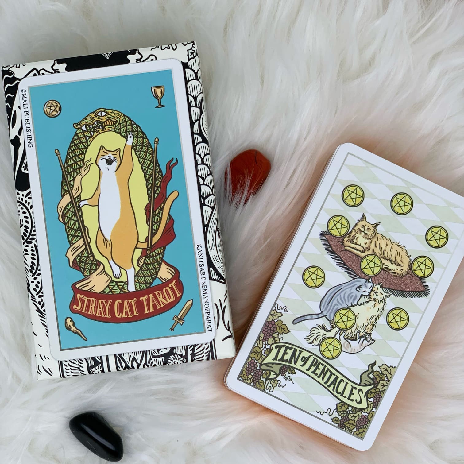 Stray Cat Tarot ｜TEVADA Tarot