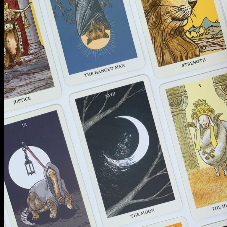 Into the Wild Tarot & Oracle 2in1 Deck